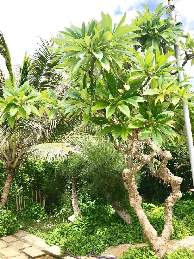 Oceanward Hotel & Resort لونغ  هاي المظهر الخارجي الصورة